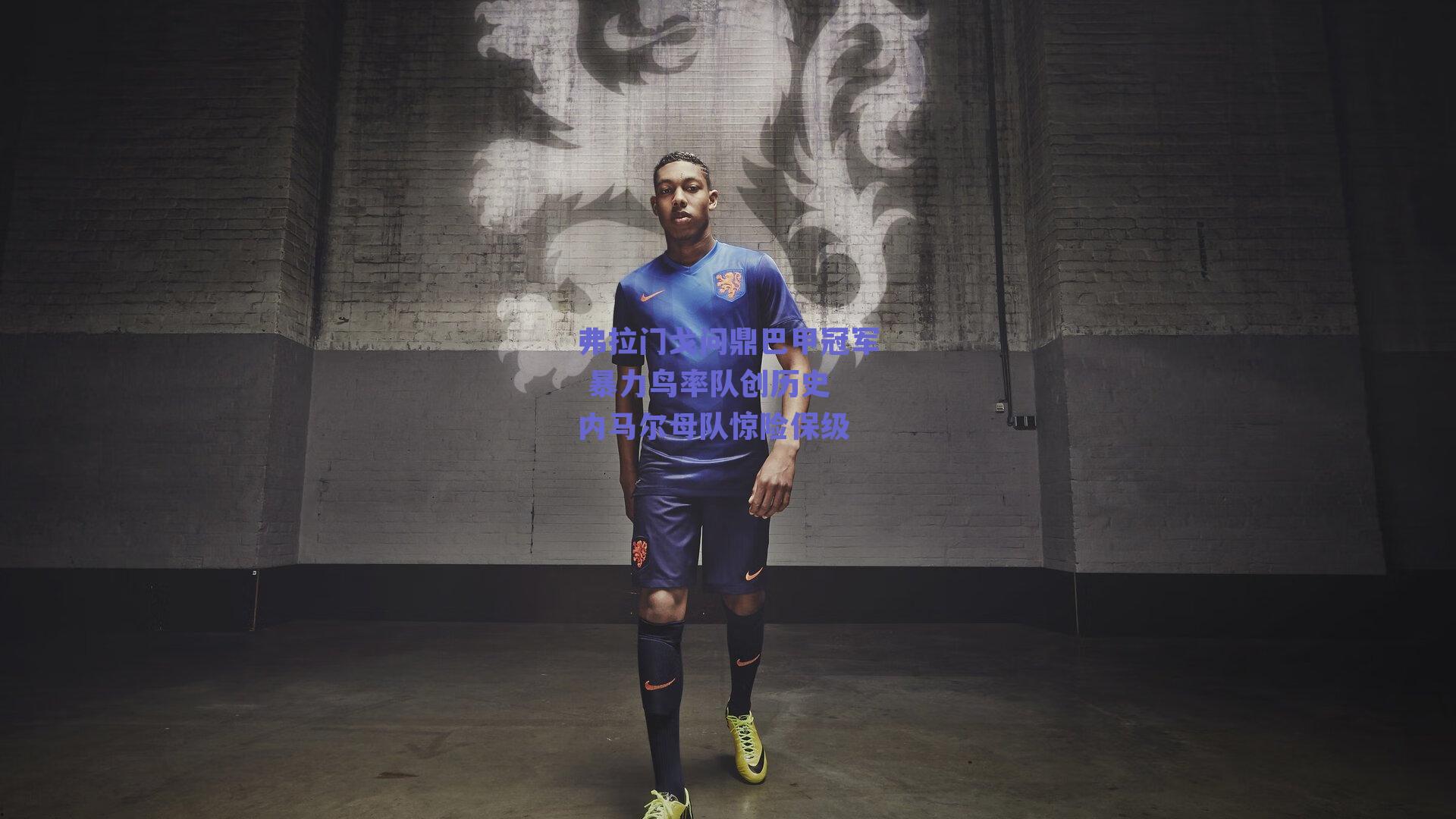 弗拉门戈问鼎巴甲冠军 暴力鸟率队创历史 内马尔母队惊险保级